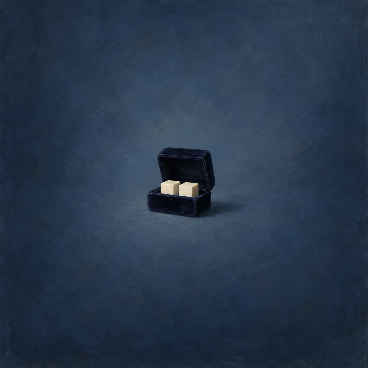 Two plain ivory cubes partly hidden inside open black velvet box